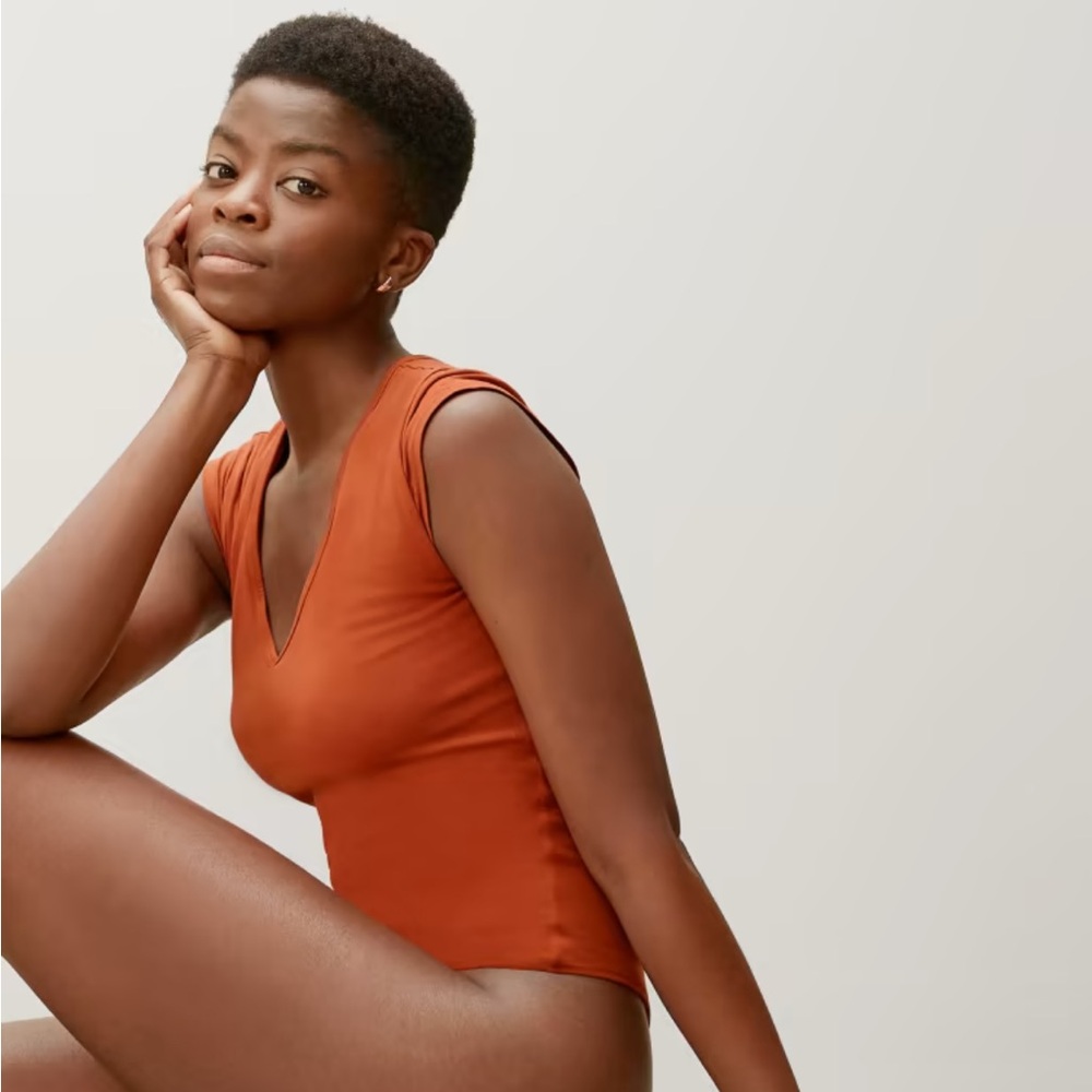 Everlane Vneck Ballet Bodysuits